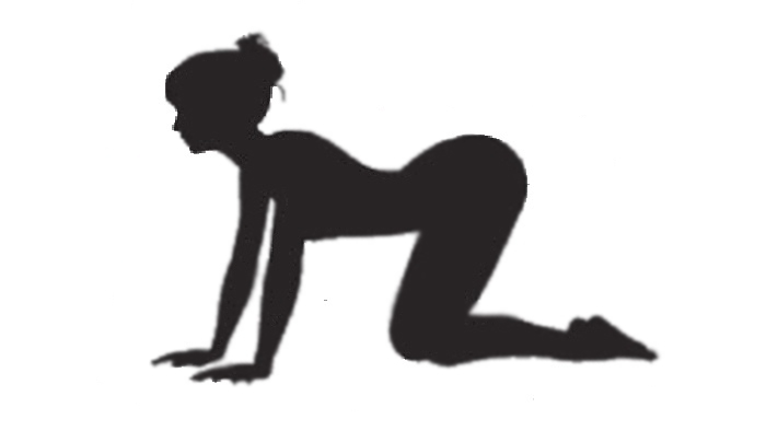 Cat or Cow pose