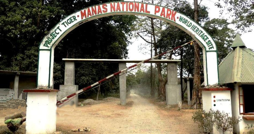 Manas National Park