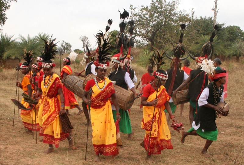 Tribal Dance Music in Chhattisgarh