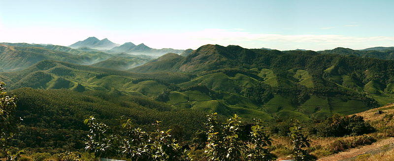 Munnar – The Hill Station of Kerala
