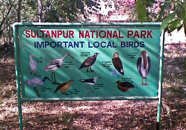 Sultanpur National Park