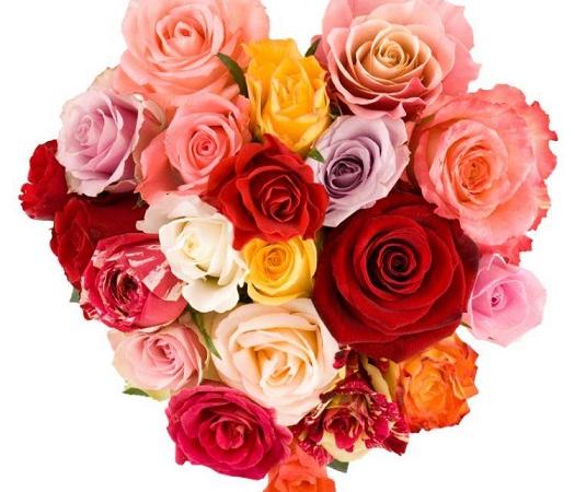 The Language Of Flowers: What Different Flowers Mean And How They Can Make A Difference