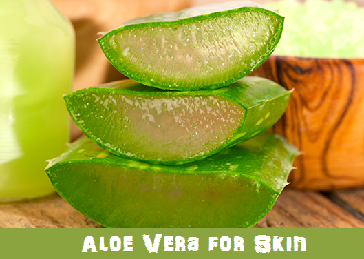 Benefits Of Aloe Vera for Skin
