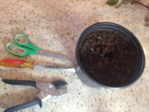 Tools needed to make plant