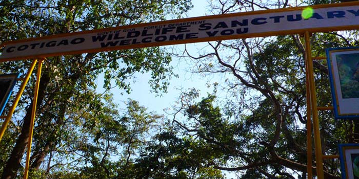 Cotigao Wildlife Sanctuary