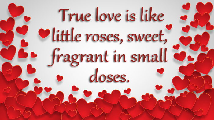 Love Quotes for Valentine’s Day