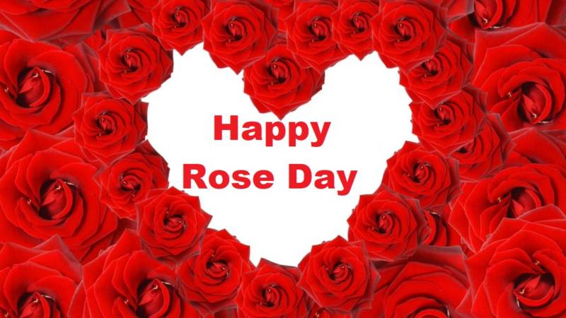 Rose Day (7th February)