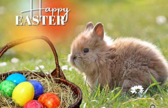 Easter 2023 RitiRiwaz