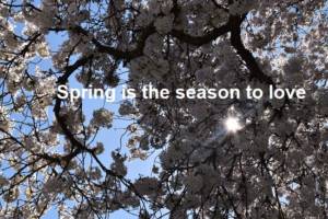 10 Reasons Why Spring Is The Season To Love | RitiRiwaz