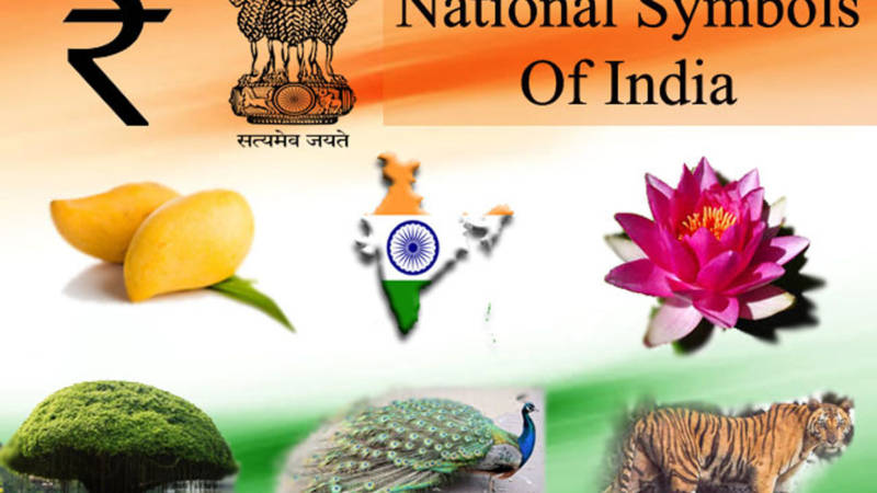National Symbols Of India
