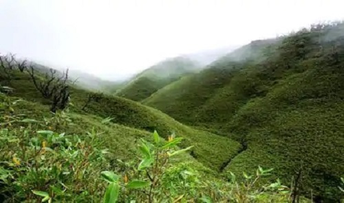 The hills of Nagaland