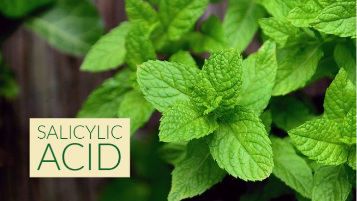 Salicylic Acid