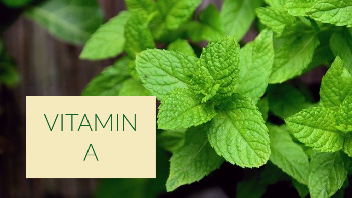 Vitamin A