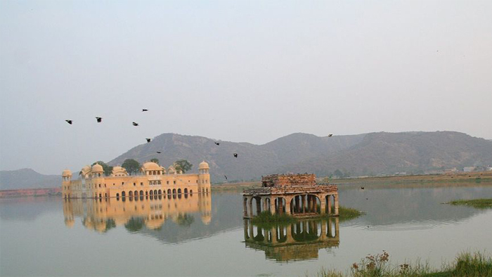 Birds Near Jal Mahal