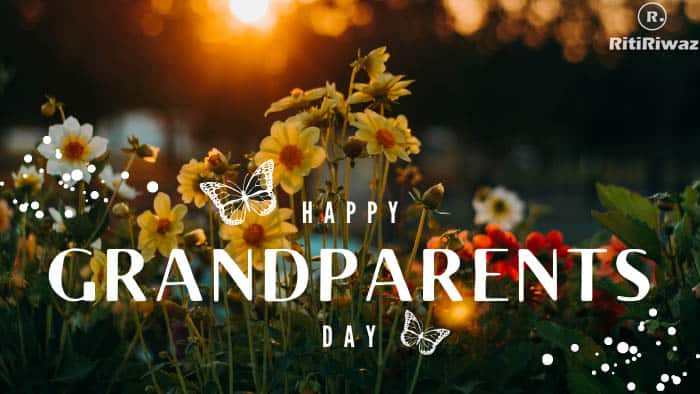 Grandparents Day Across The World | RitiRiwaz