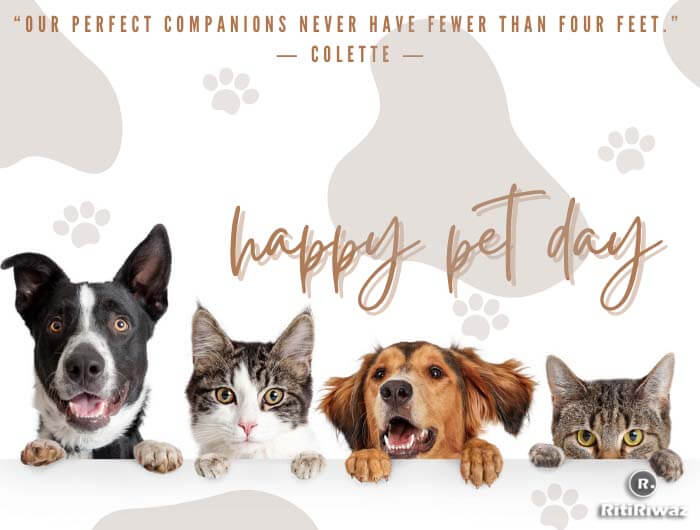 Pet Day Quotes 