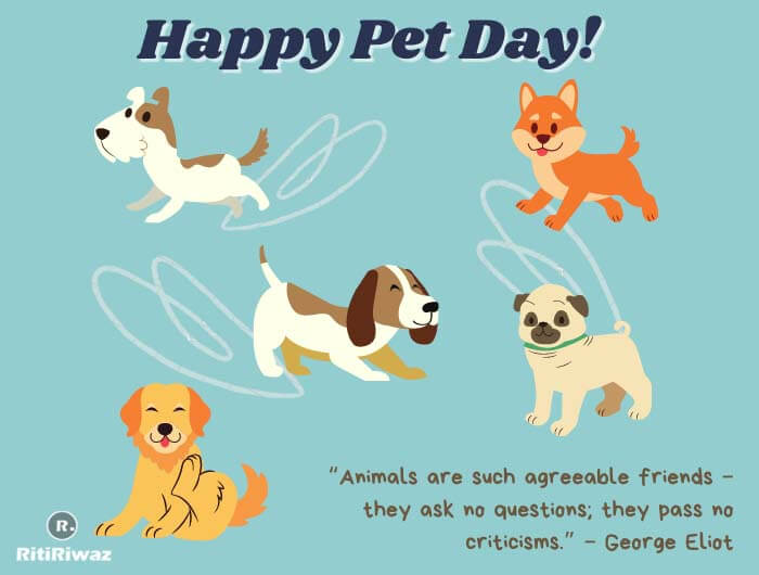 Pet Day Quotes 