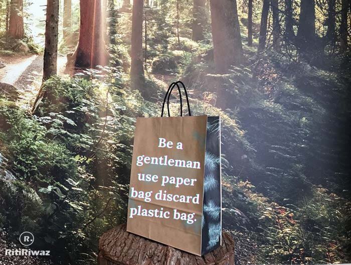 Paper Bag quote 