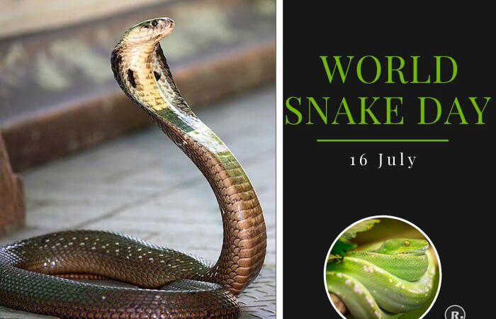 World Snake Day – 16th July