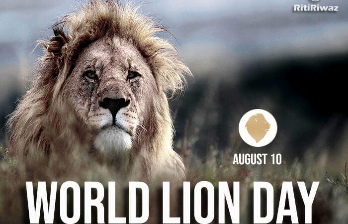 World Lion Day – 10 August