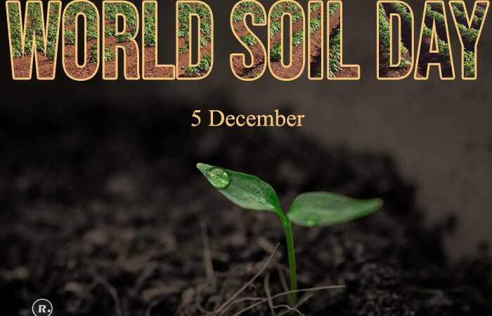 World Soil Day