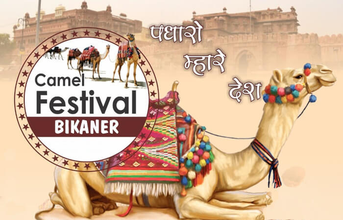 Bikaner Camel Festival 2022 In India