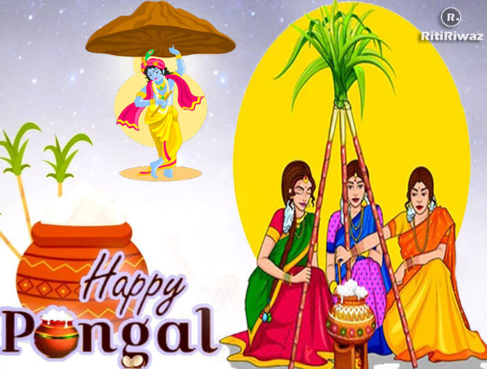 History and Importance of Pongal
