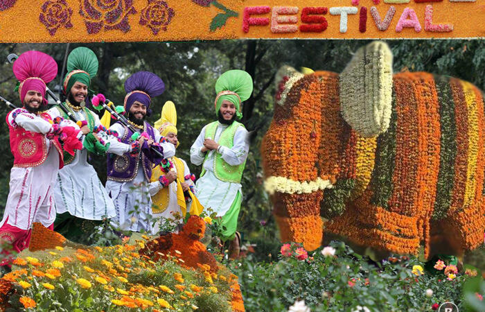 Chandigarh Rose Festival 2025