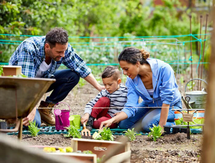 Gardening