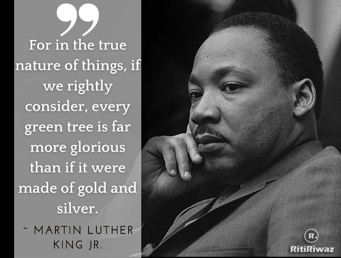 Martin Luther King Jr Environment Day Quote