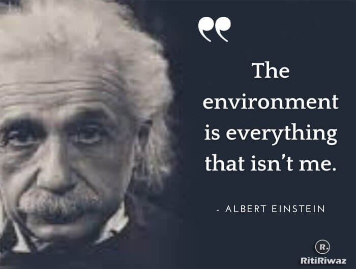 Albert Einstein Environment Day Quote
