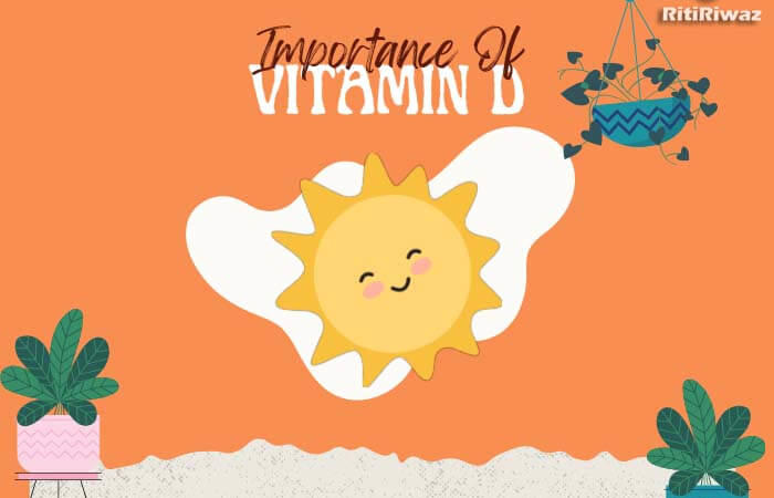 The 5 Best Vitamin D Food Sources