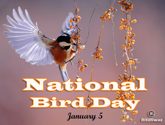 National Bird Day | RitiRiwaz