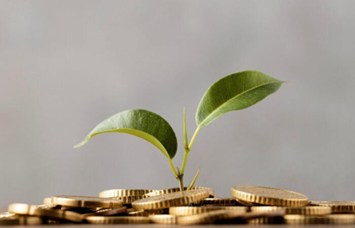 Low-Cost Solar Business Ideas in India: An Exciting Market to Explore