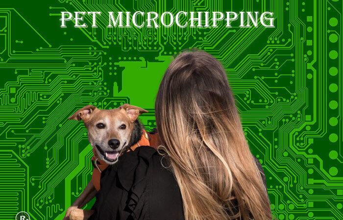 Pioneering Pet Safety: The Impact of Pet Microchip Companies on Modern Pet Care
