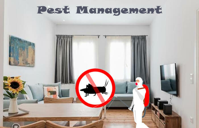 Integrated Pest Management: A Property Manager’s Guide to Effective Strategies