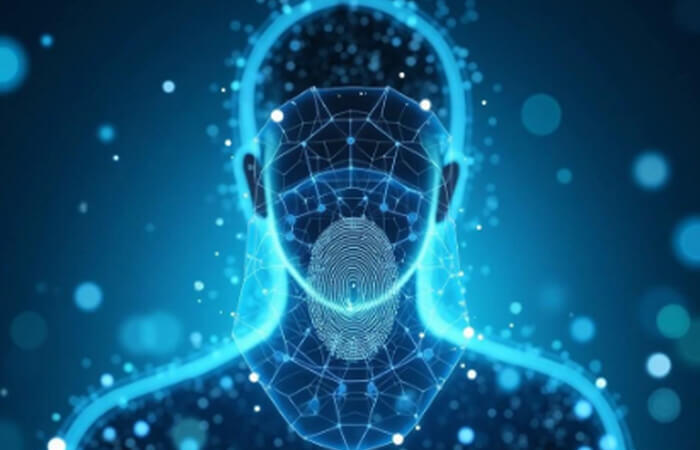 Why Online Verification Matters in Protecting Your Digital Identity